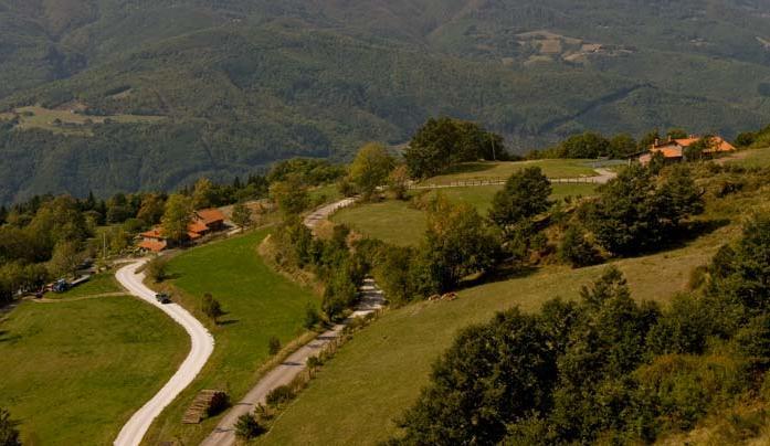 Agriturismo Il Serrino ซานมาร์เชลโล ปิสโตเยเซ ภายนอก รูปภาพ